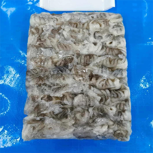 Squid Loligo Heads