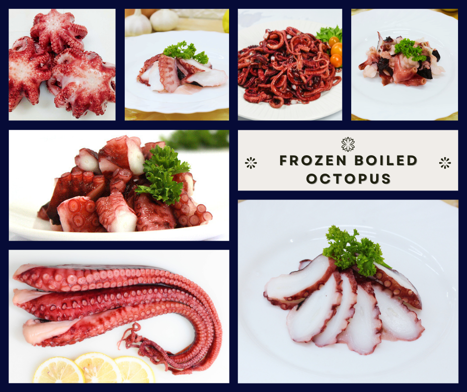 PUFFI Strengthens International Presence at Busan International Seafood & Fisheries EXPO 20253