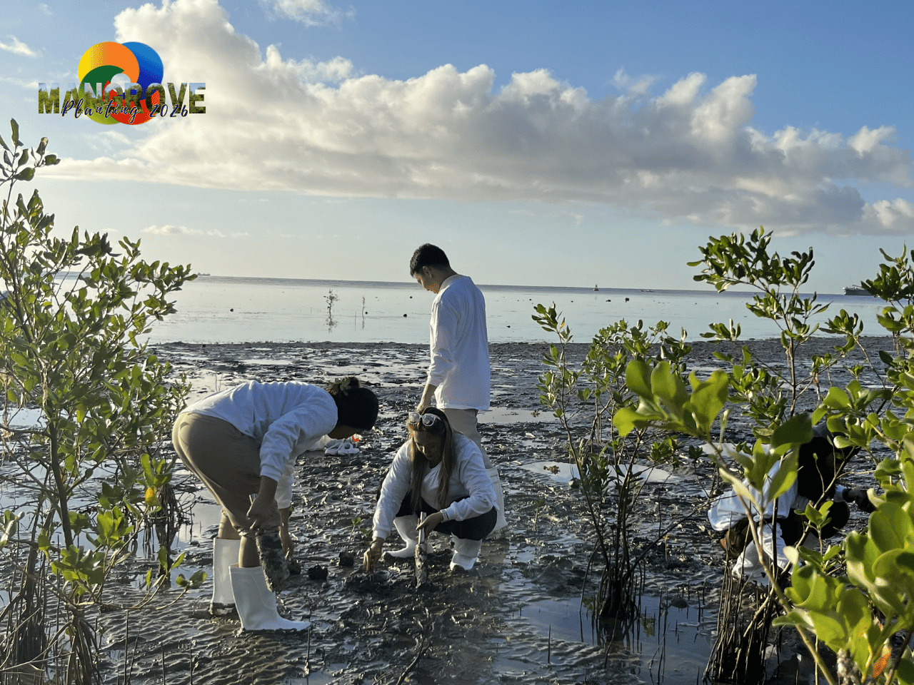 MANGROVE PLANTING 20264