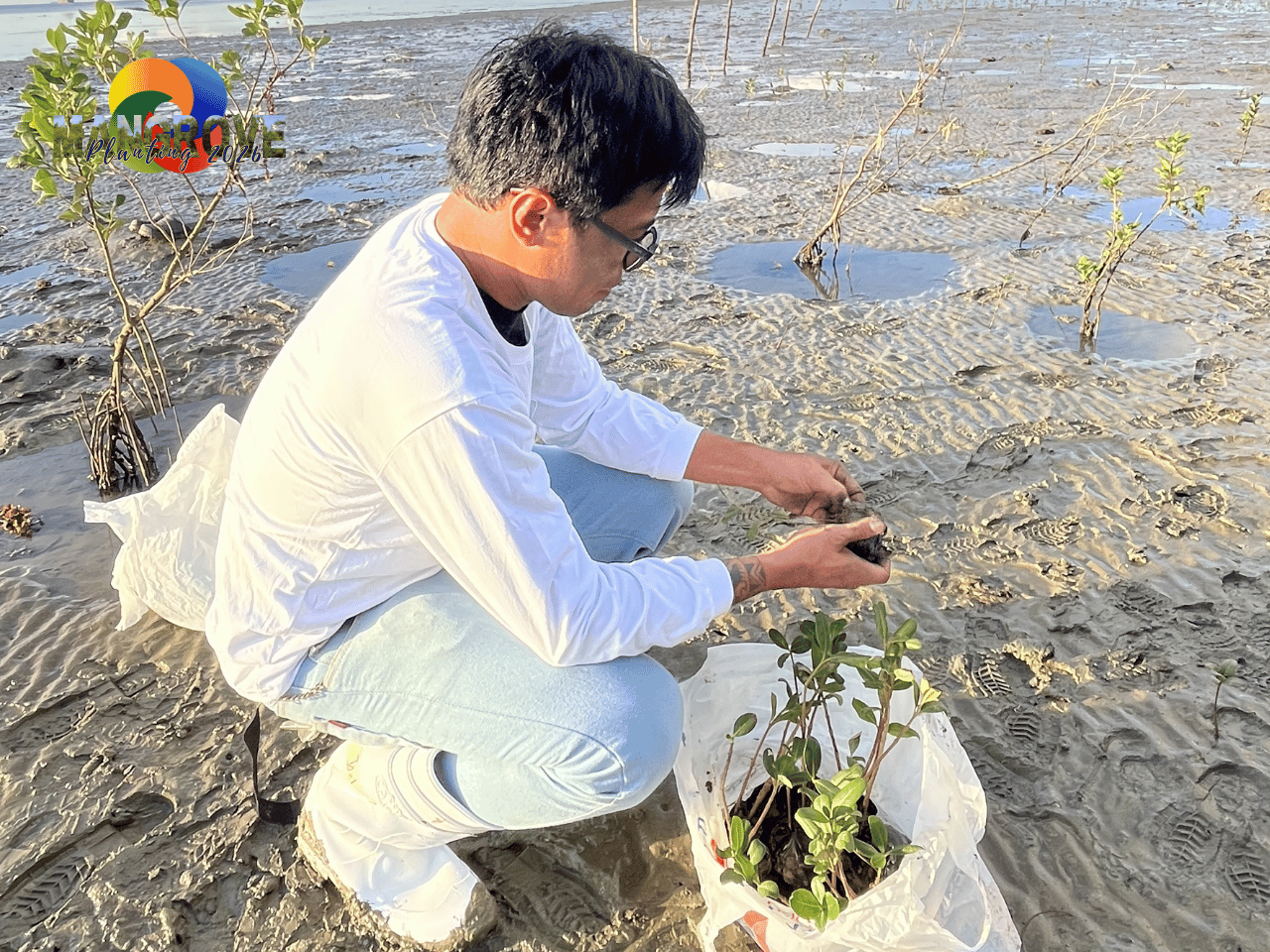 MANGROVE PLANTING 202610