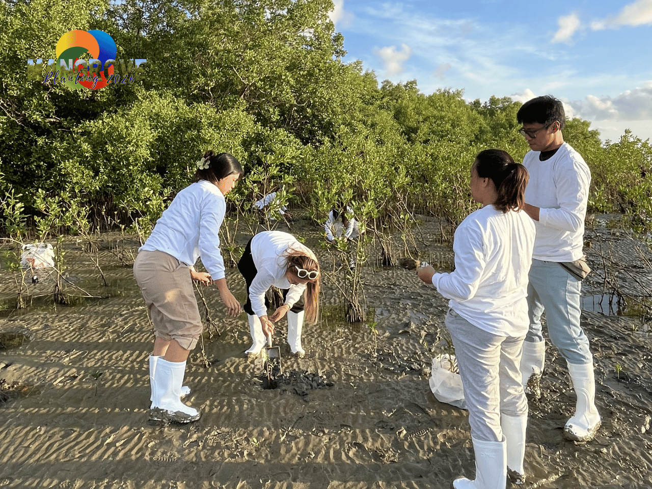 MANGROVE PLANTING 202612