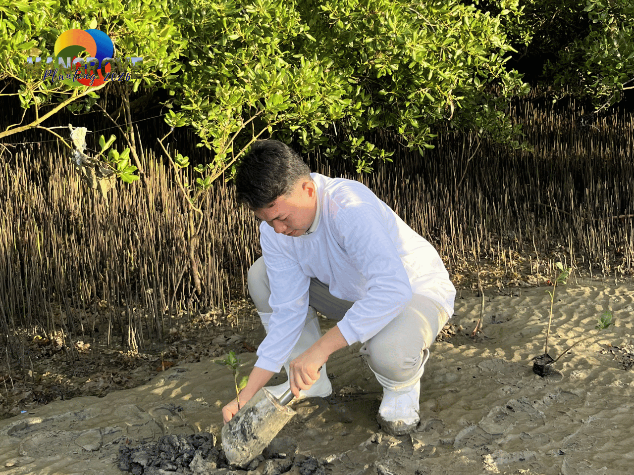 MANGROVE PLANTING 202613