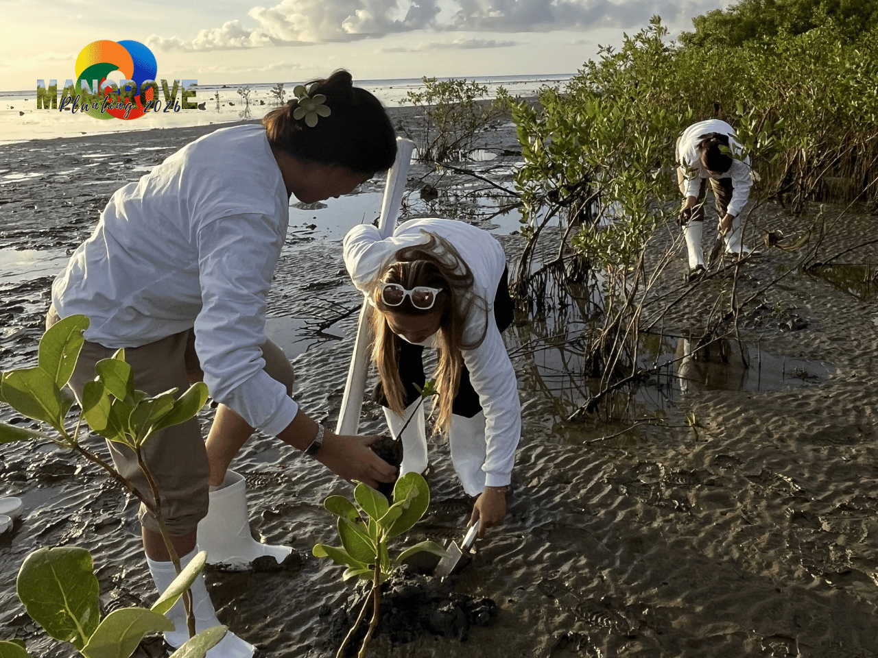 MANGROVE PLANTING 202614