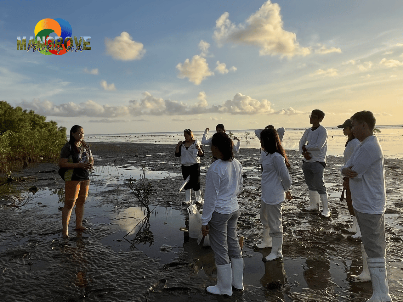 MANGROVE PLANTING 202618