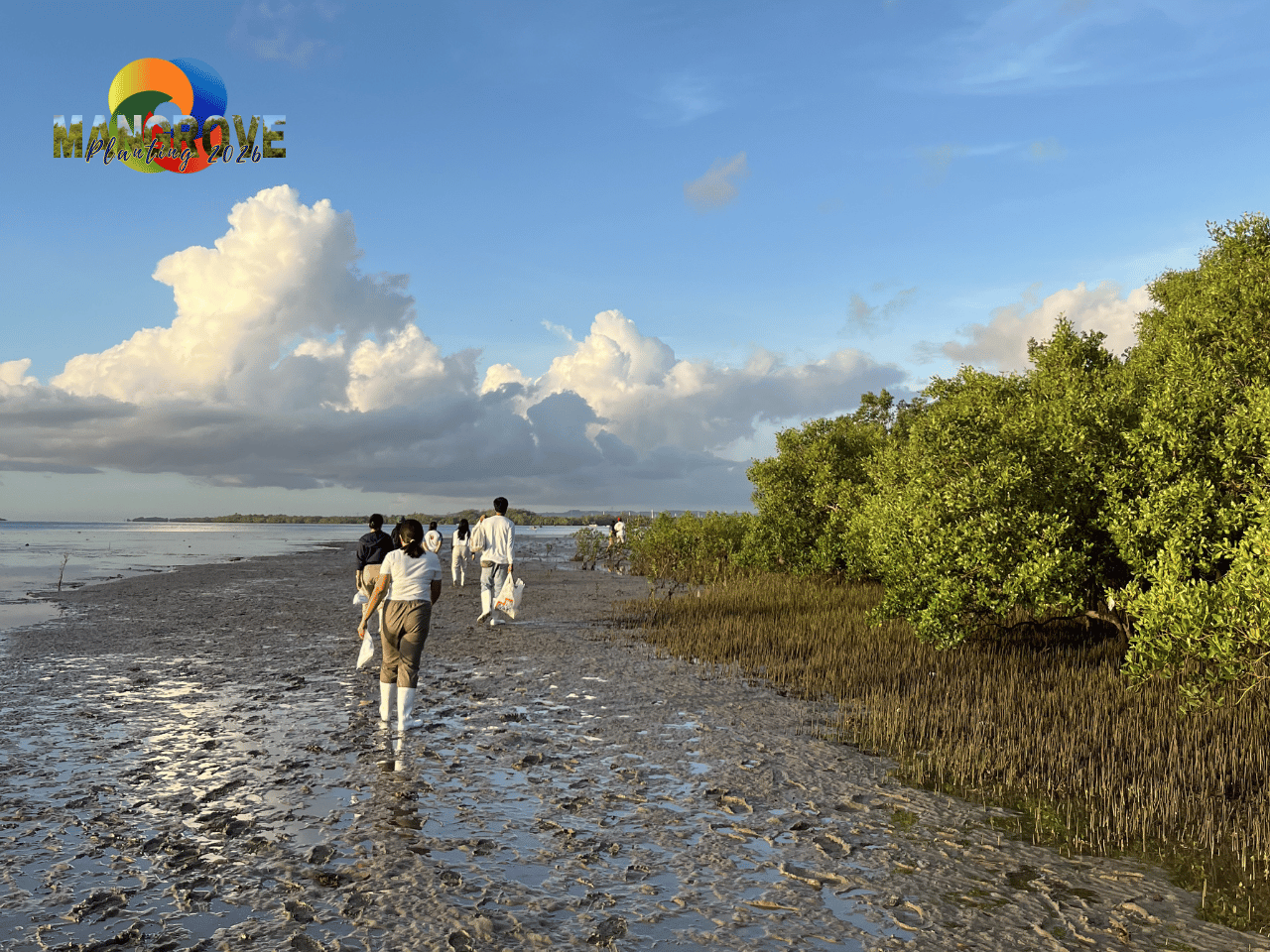 MANGROVE PLANTING 202619