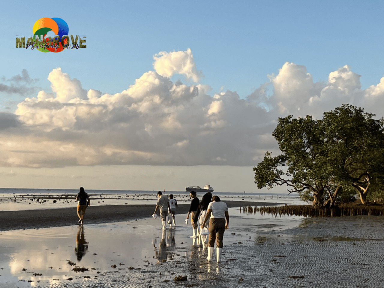 MANGROVE PLANTING 202620