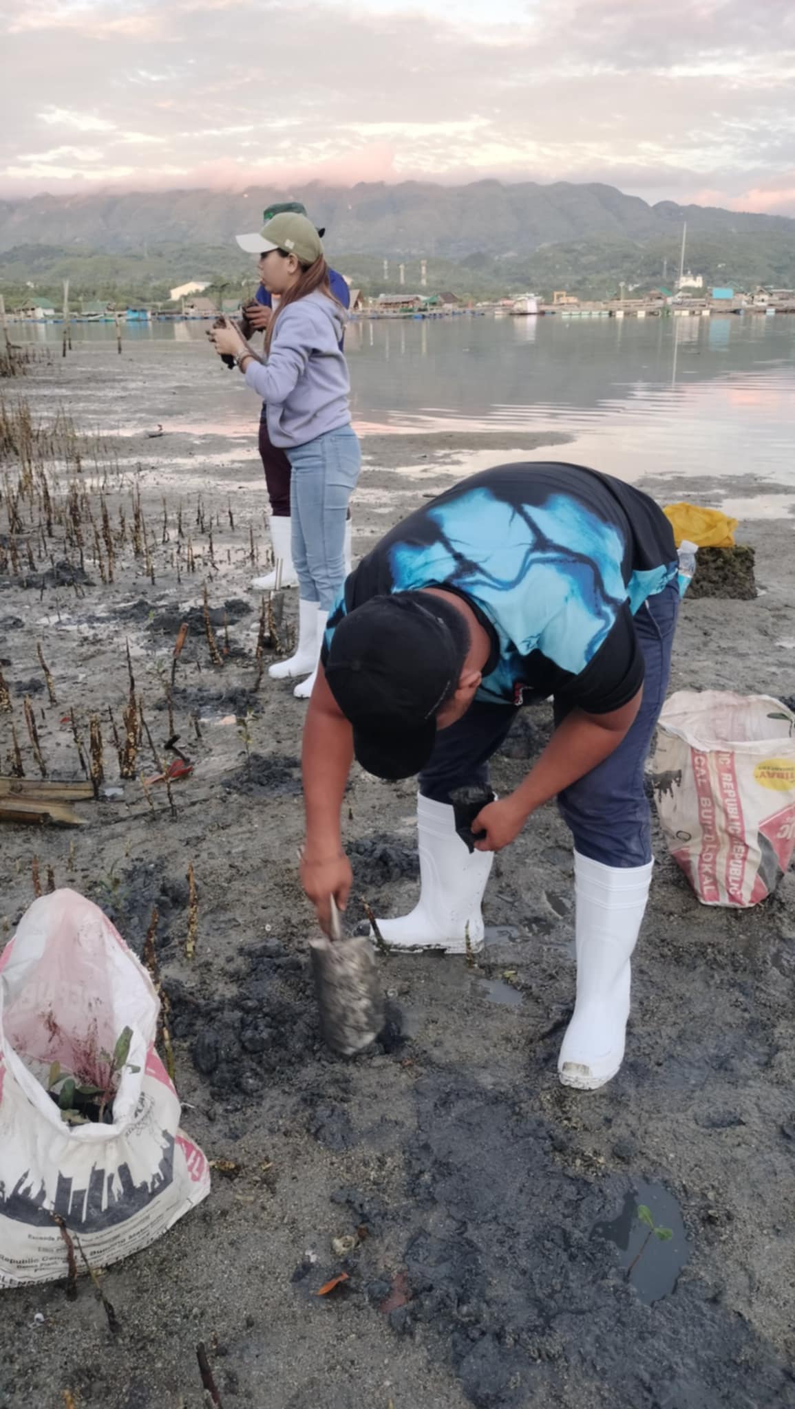 Mangrove Planting May 202513