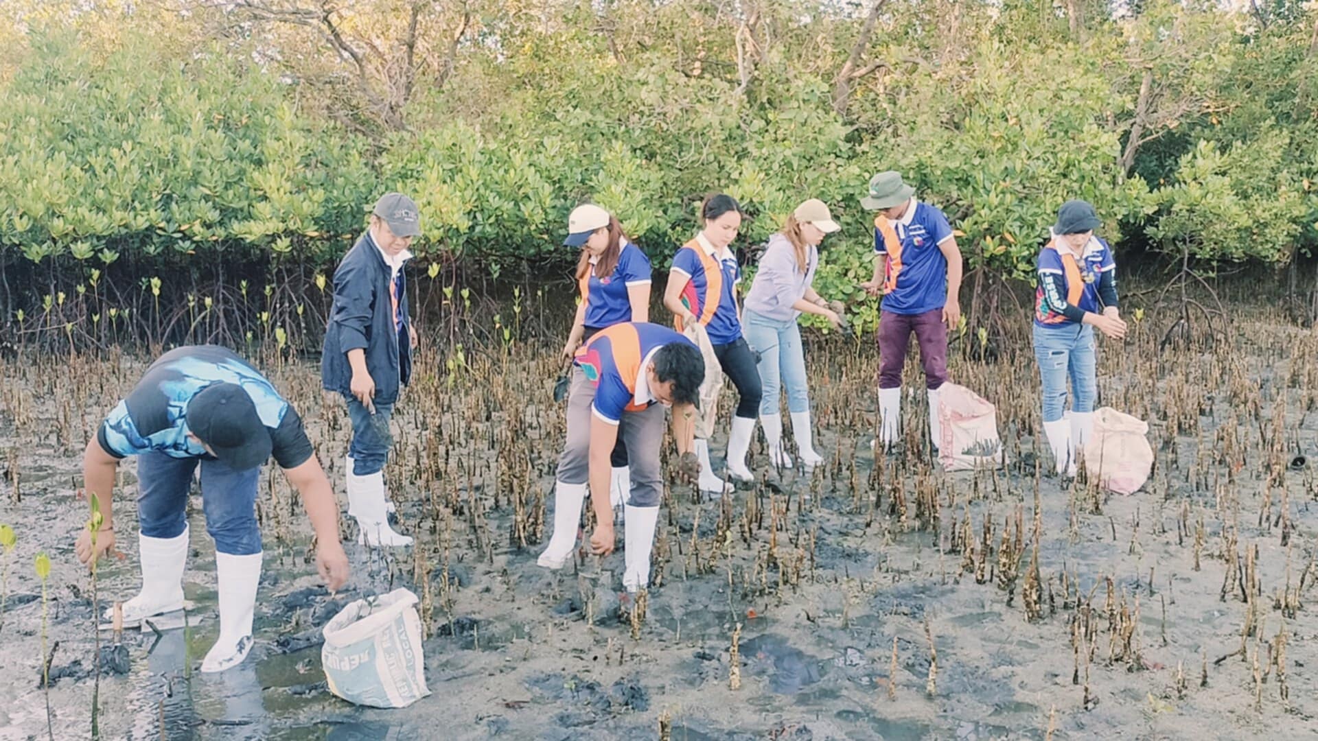 Mangrove Planting May 202527