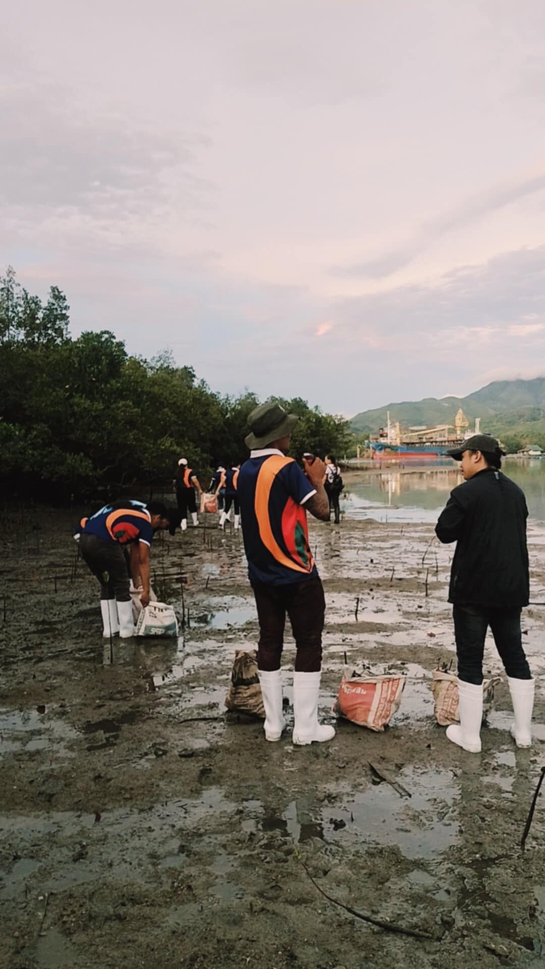 Mangrove Planting May 202533