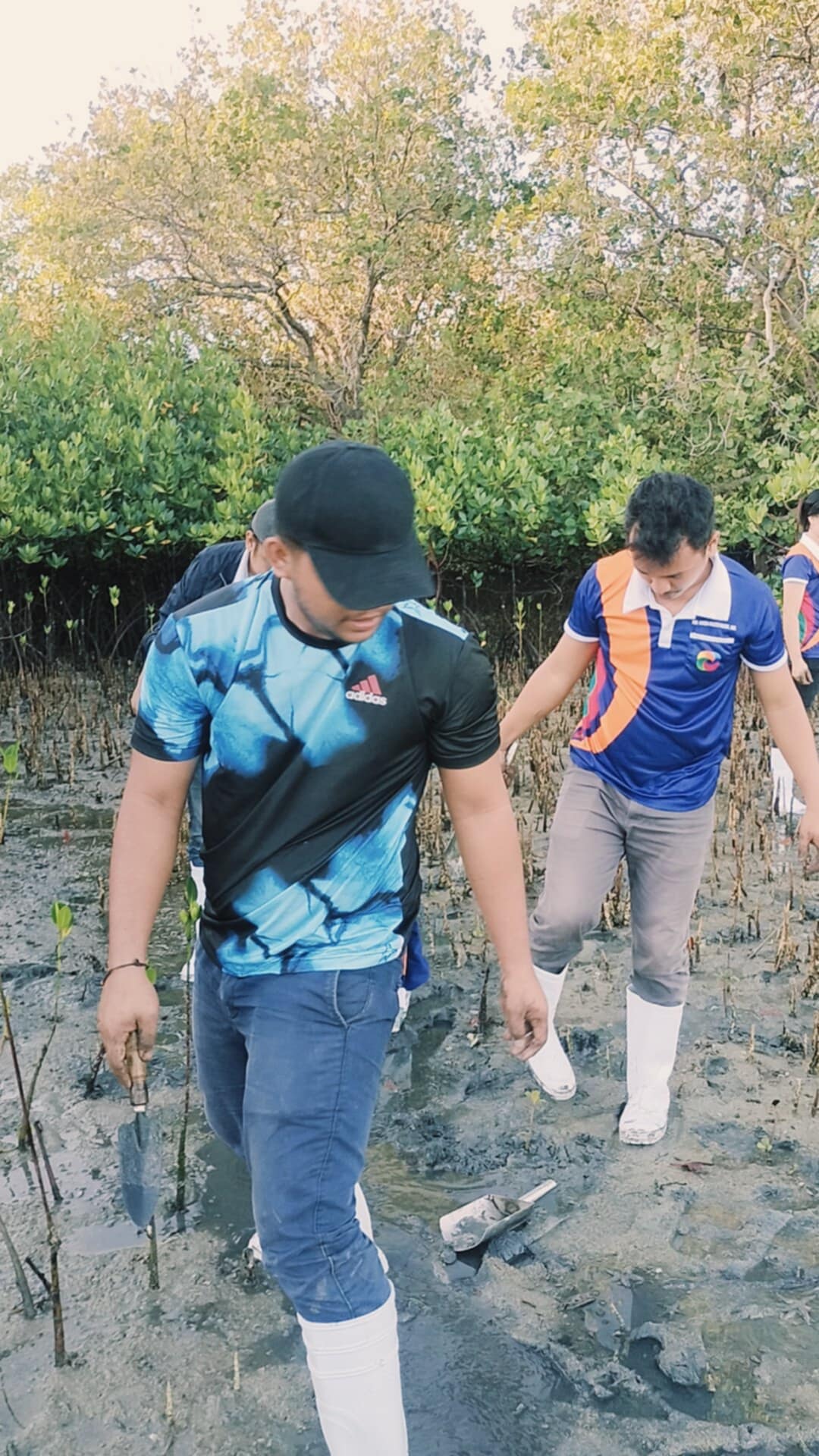 Mangrove Planting May 202511