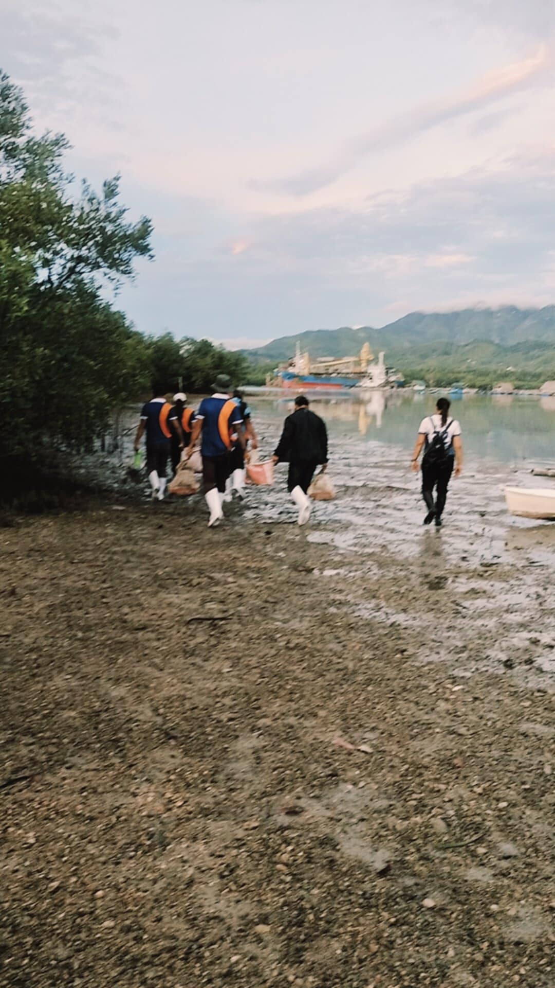 Mangrove Planting May 202529