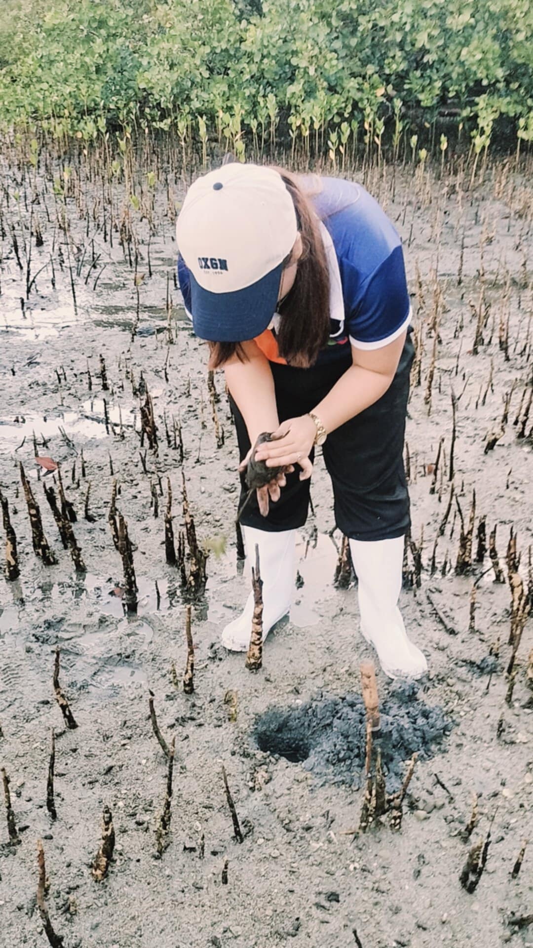 Mangrove Planting May 202532
