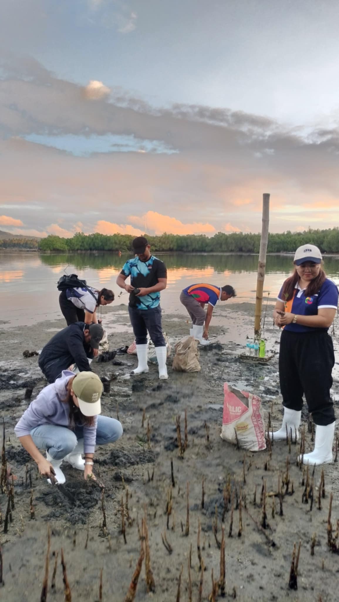 Mangrove Planting May 20254