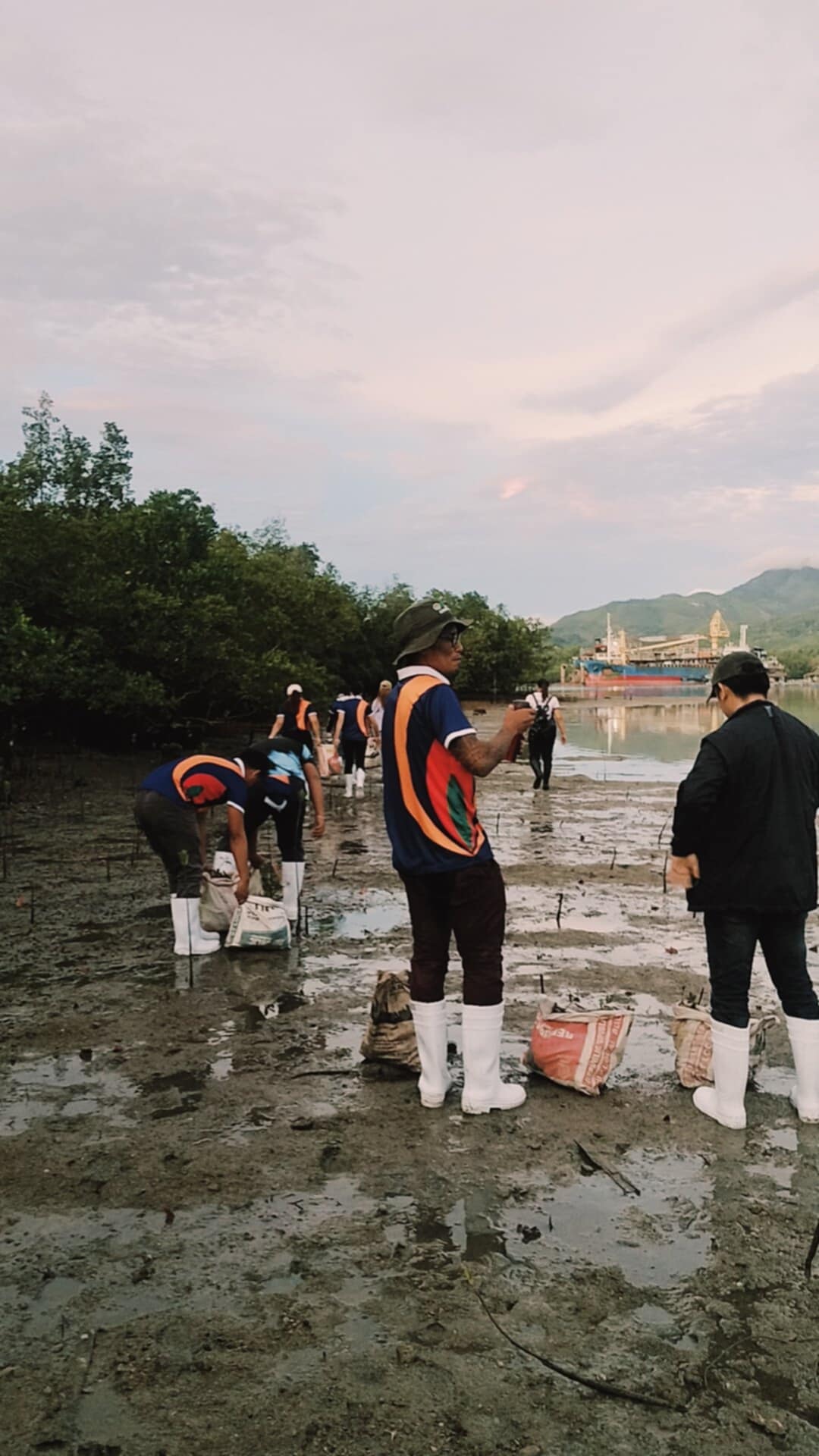 Mangrove Planting May 202519