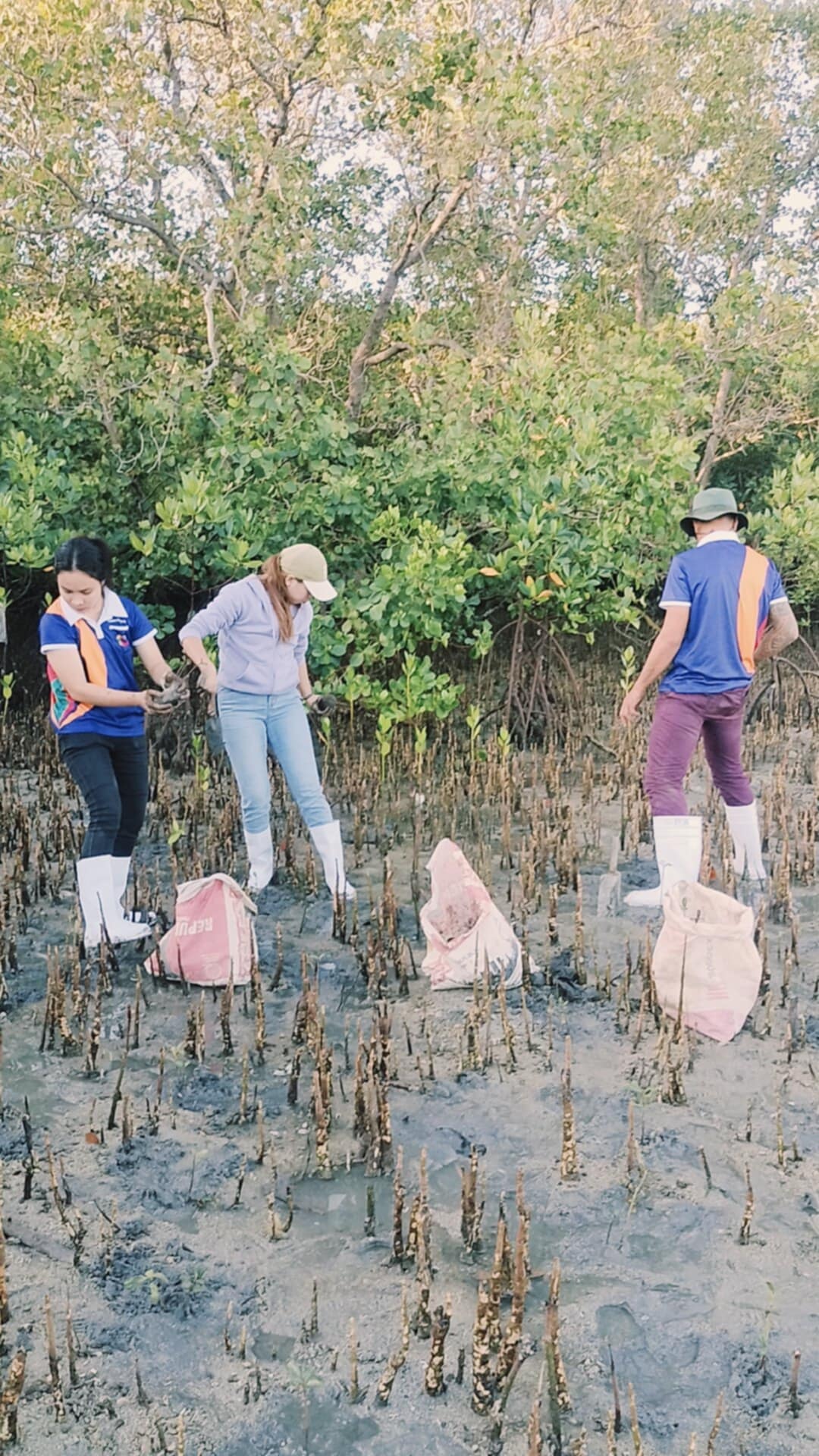 Mangrove Planting May 202524