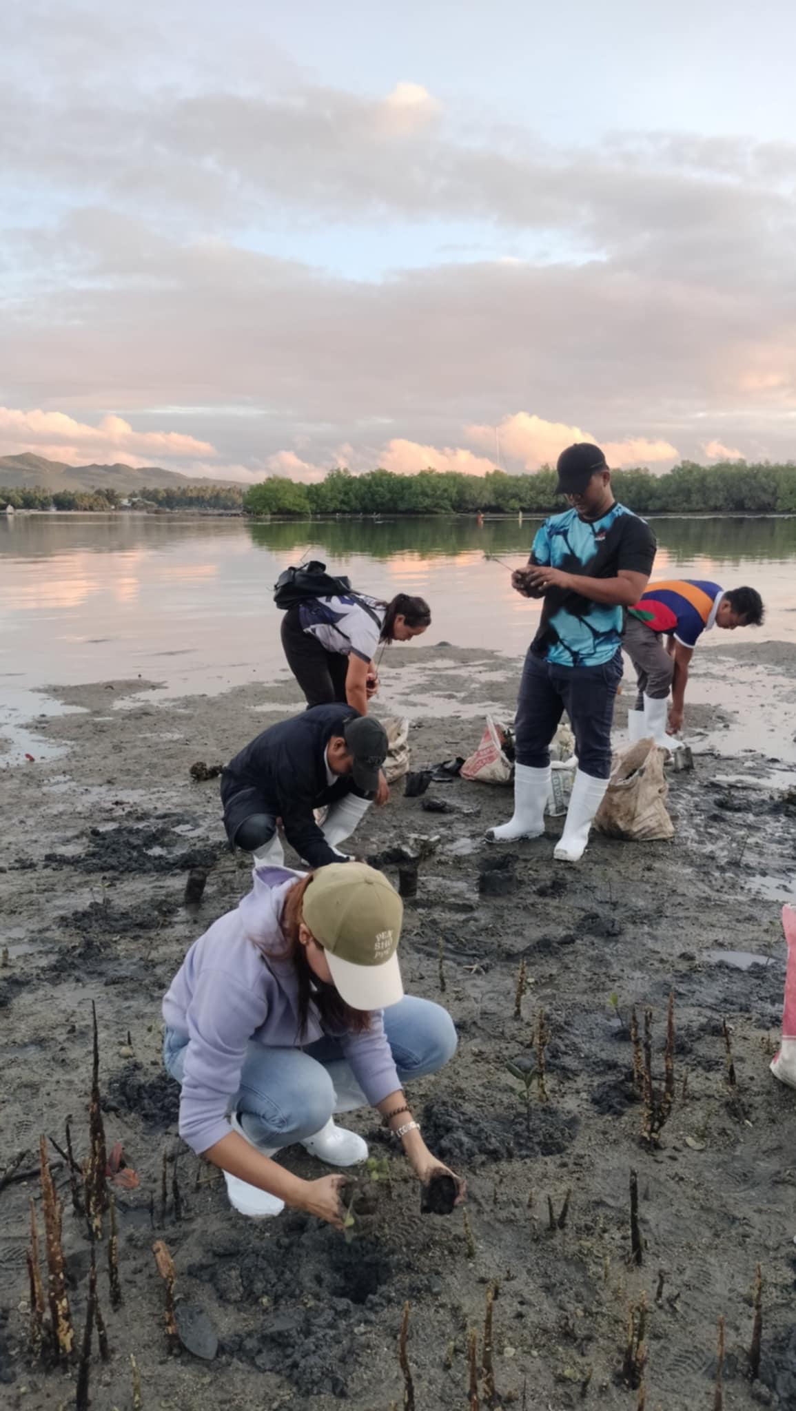 Mangrove Planting May 20253