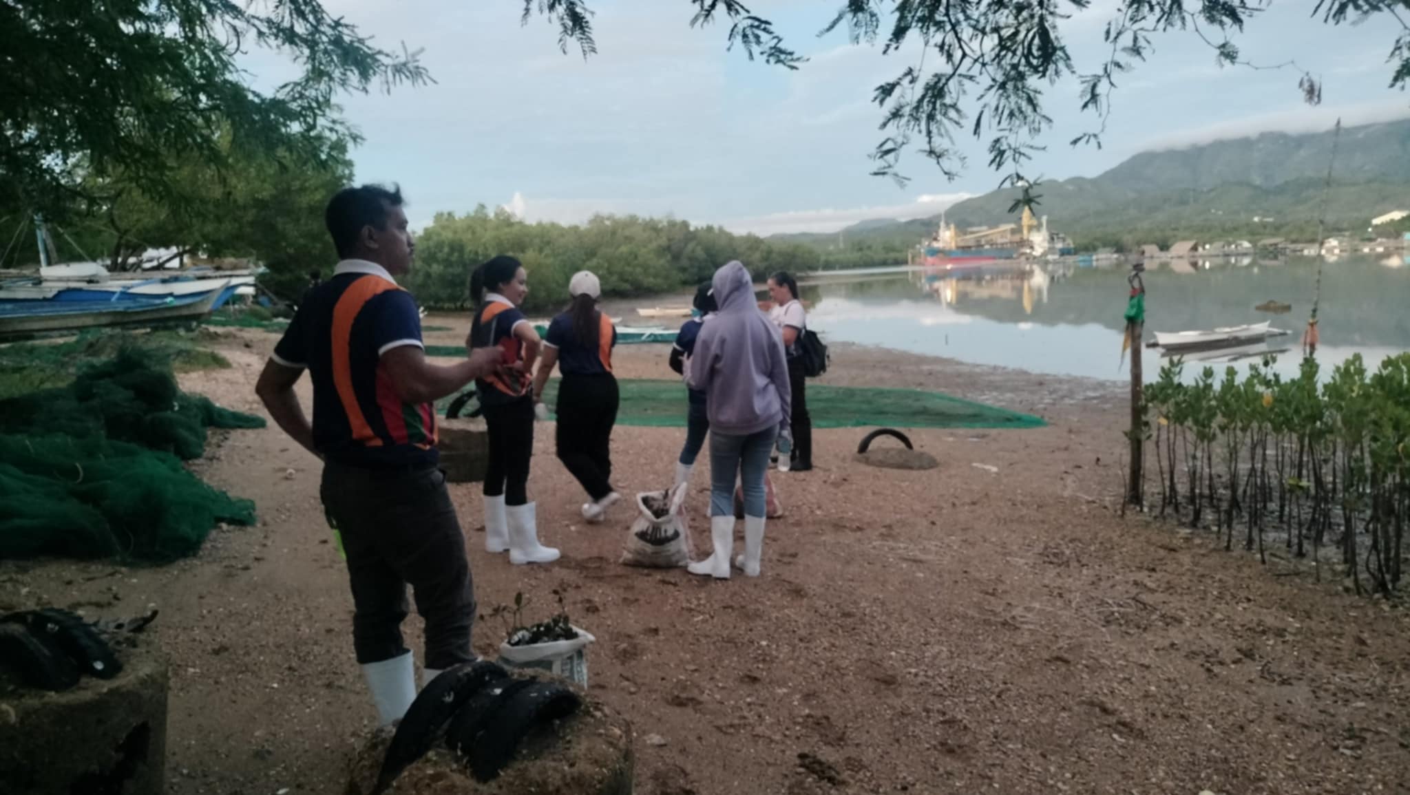Mangrove Planting May 20256
