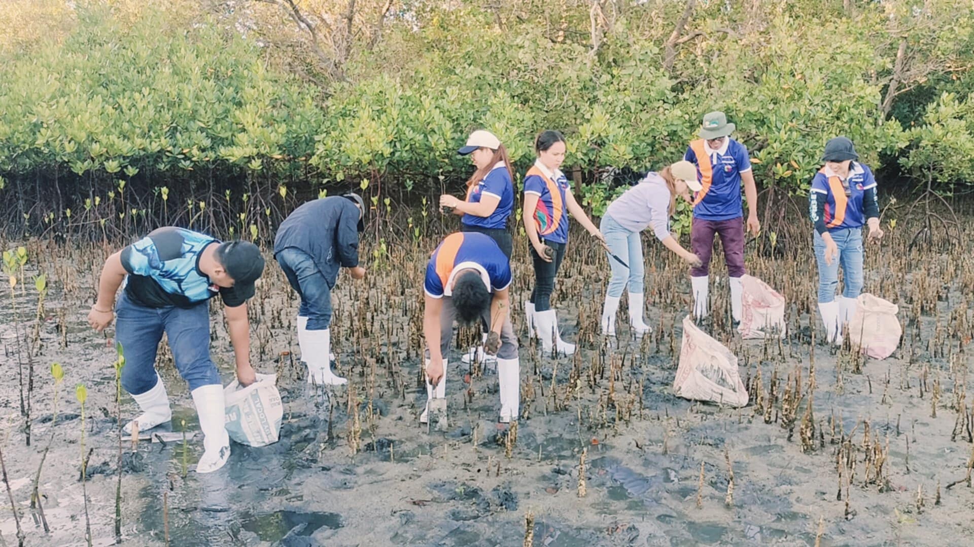 Mangrove Planting May 202515