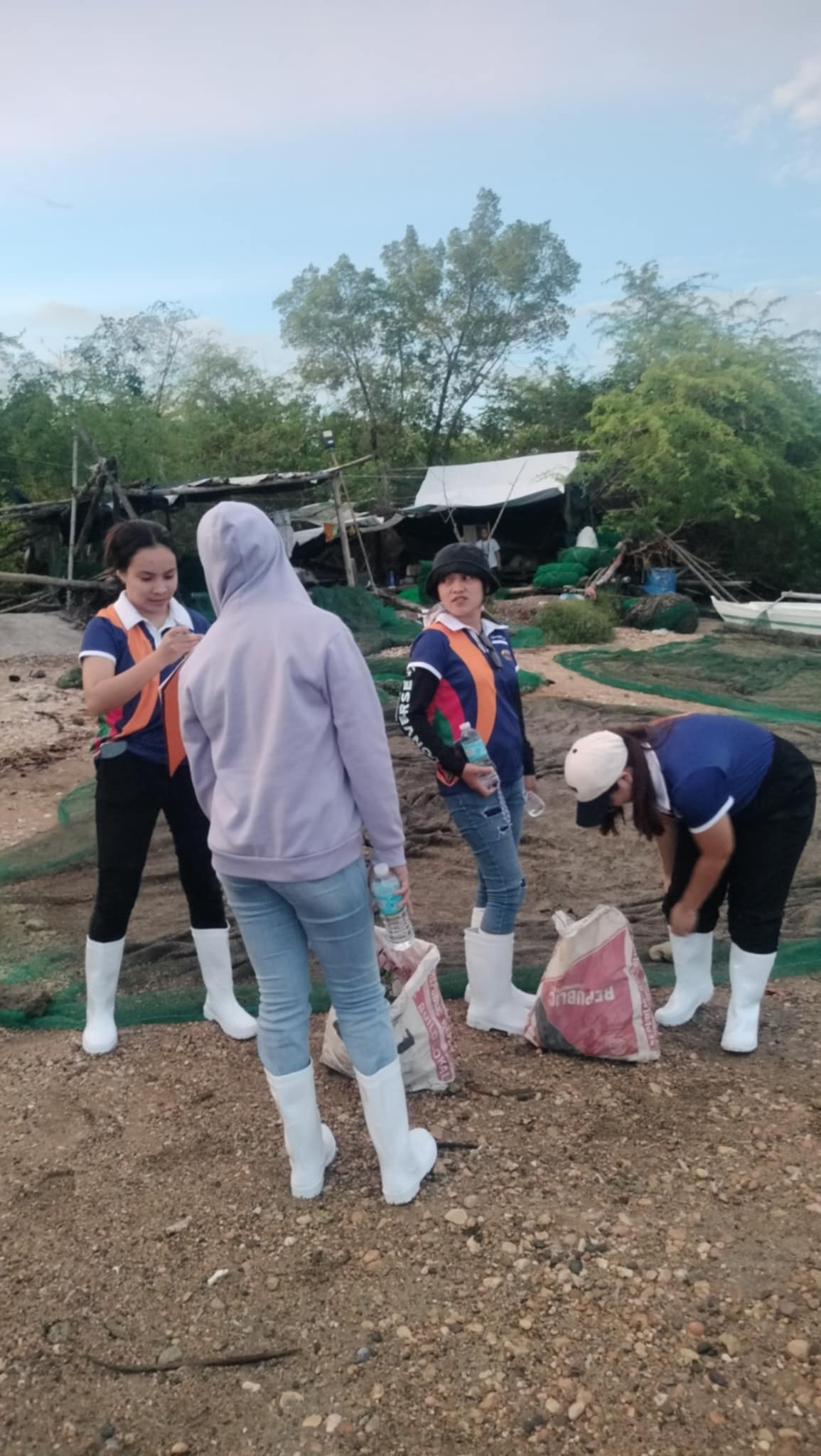 Mangrove Planting May 202522